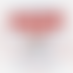 山田社長『2026年目標』の進捗報告!!