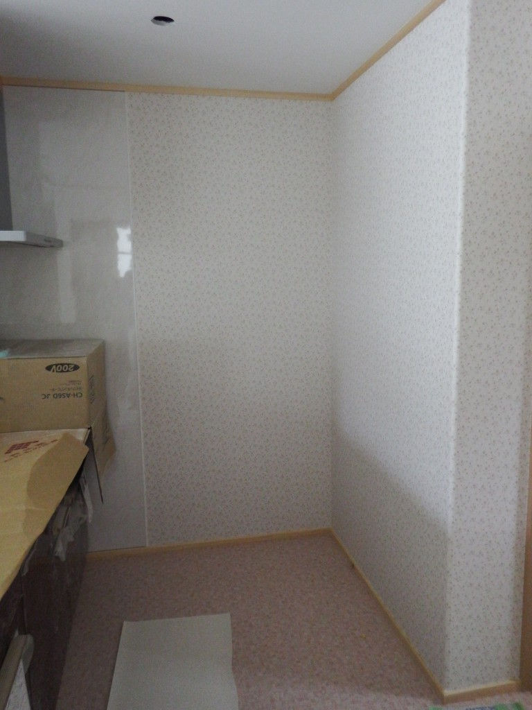 DSCF8914
