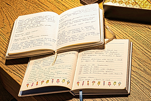 Copywriting Services