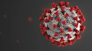 Woodshop survival in the age of coronavirus.