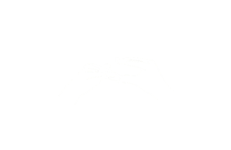 ASL animation for "email." One hand forms "C" handshape. Second hand swings back and forth, entering and exiting the opening of the "C" hand.