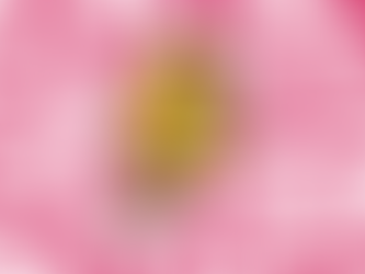 Can Pelvic Floor Therapy Help with Endometriosis Symptoms?