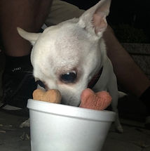 olive.C.19.jpeg