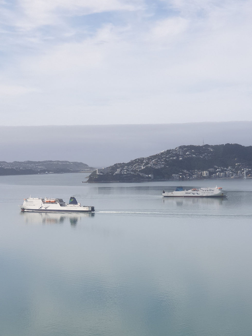 Wellington - NZ