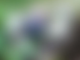 Crystals to Help Plants