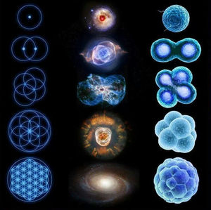 Sacred Geometry