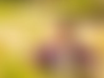 Natural Remedies for Allergies