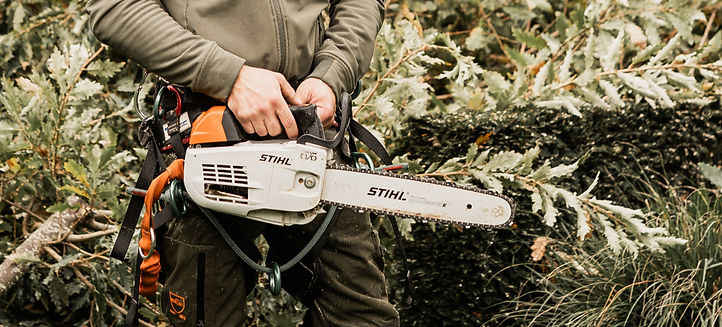 Gerco Murre Boomverzorging_edited.jpg