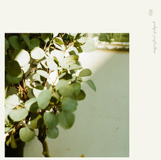 유별_봄_cover_66.jpg