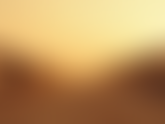 Conseils pratiques pour obtenir votre permis de conduire rapidement