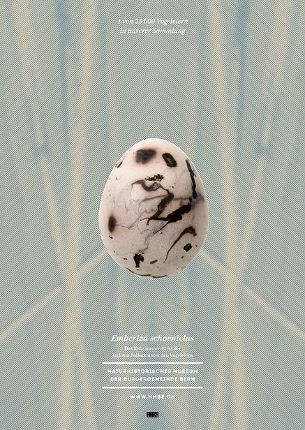 Thea Sonderegger, Plakat Rohrammer Ei