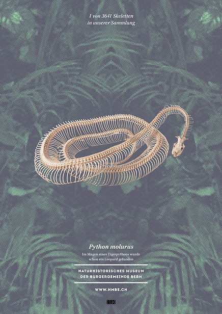 Thea Sonderegger, Plakat Python Skellet