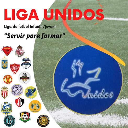 liga unidos.png