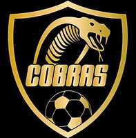 cobras.jpeg