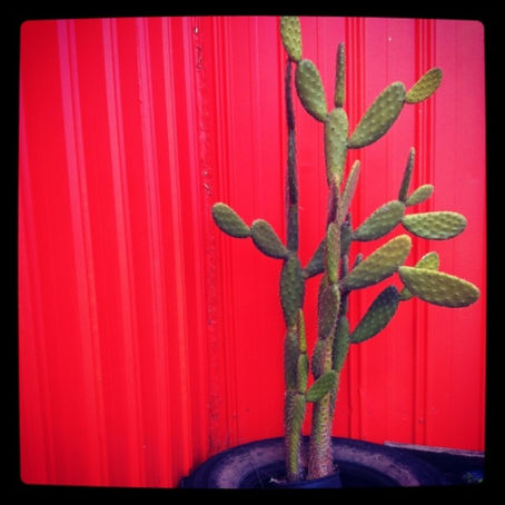 Embracing Being a Scanner, An ENFP and my inner Kate Winslet