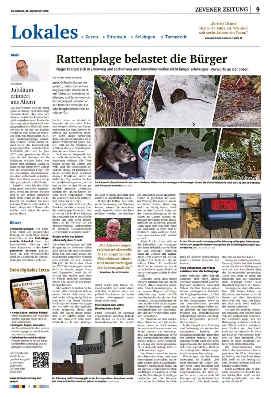 Zeitungsartikel der Zevener Zeitung über das Rattenproblem in Zeven