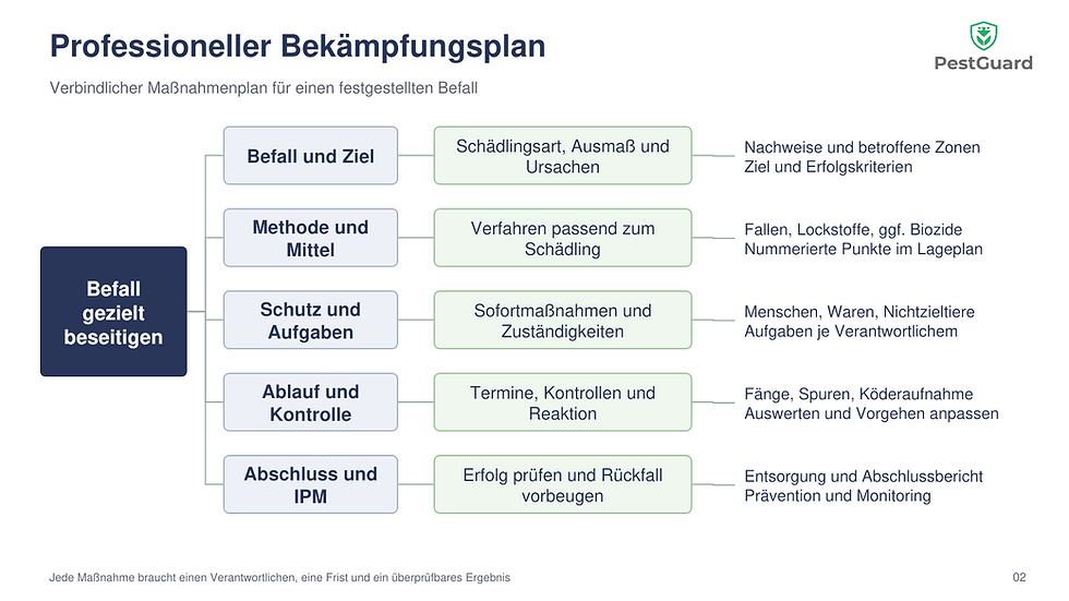 Professioneller Bekämpfungsplan mit Befall und Ziel, Methode, Schutz, Ablauf, Erfolgskontrolle und Rückkehr zur Prävention.