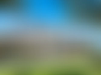 how much does a new roof cost austin tx