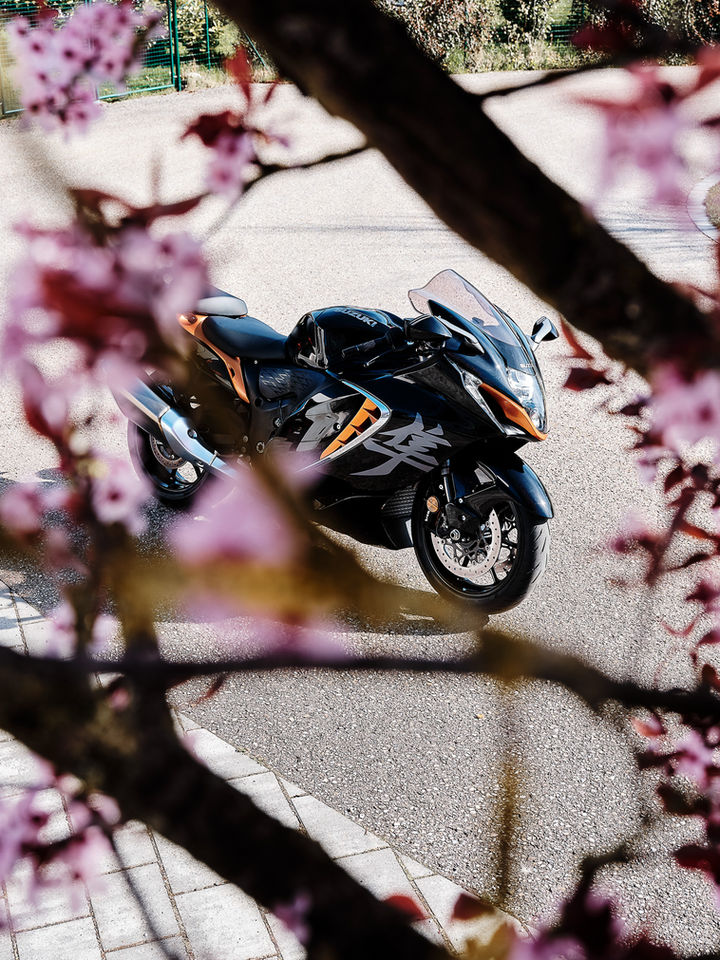Die neue Suzuki Hayabusa steht auf einer Parkfläche. Das Motorrad ist von leicht erhöhter Position  und von schräg vorne fotografiert. Im Vordergrund des Bildes sind Äste und Kirschblüten.