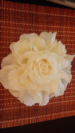 CAM08033