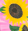 a close up image of a sunflower painting with a pink background 
