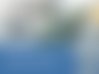 Brown & Burk UK Ltd (BBUK): Quality Healthcare Through Affordable Pharmaceuticals