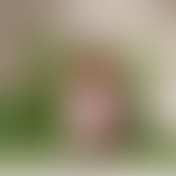 🌿 Qué es la tonificación botánica y por qué está transformando el cuidado de la piel