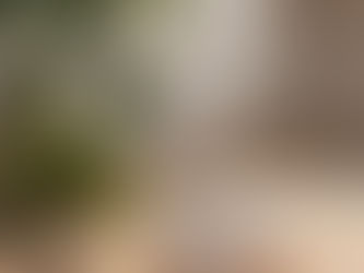 🛡️ Limpieza energética: cómo usar aromas para despejar espacios y aura