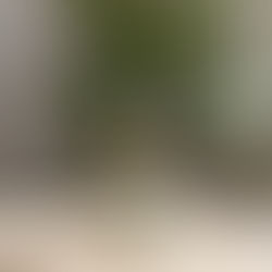 🕯 Armonizadores Áuricos: qué son y cómo potencian tus espacios