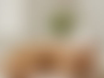 🐾 Aromaterapia y mascotas: lo que sí y lo que no