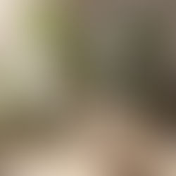 🌬 Difusores: cómo usarlos bien para transformar el ambiente