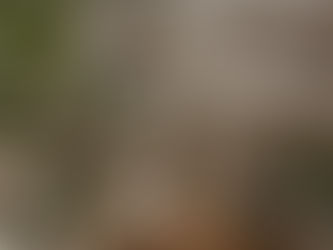 Cómo transformar tu hogar con aromaterapia ambiental