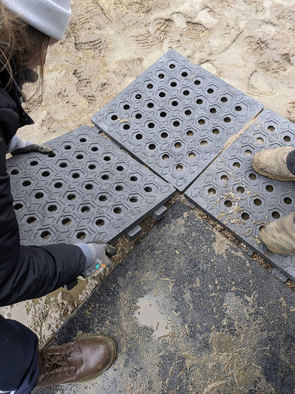 Miniaturbild: PCV Paddockplatten