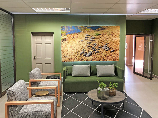 beautiful canvases by frametique, windhoek, namibia