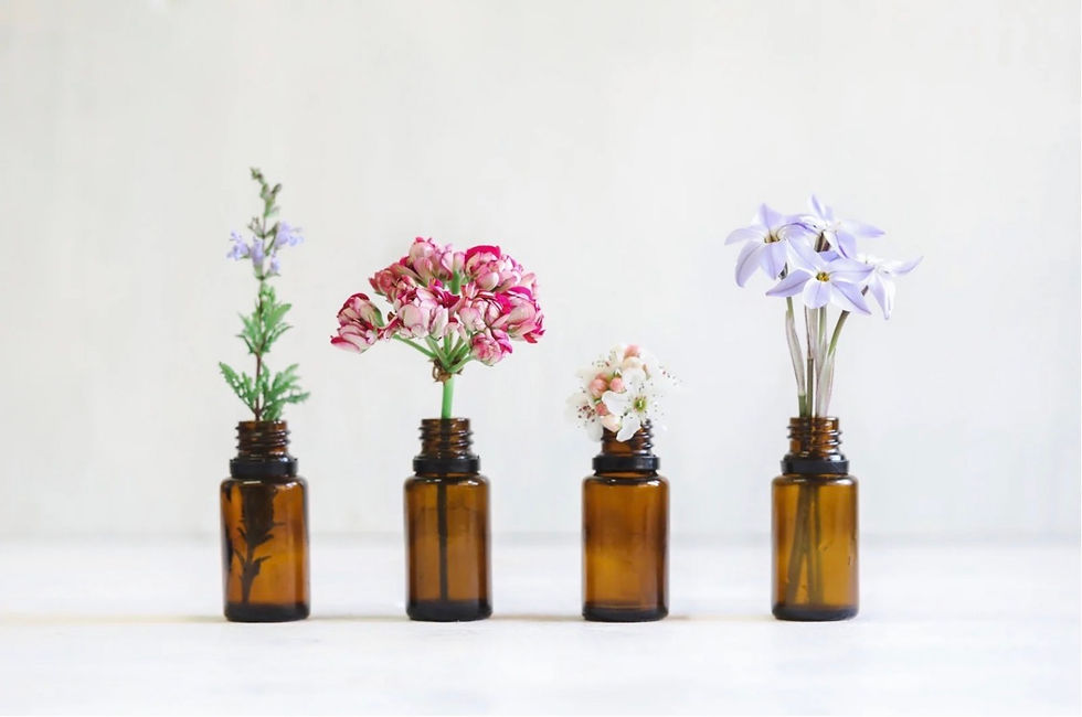 What Is Functional Herbalism?