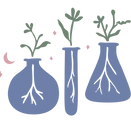 FunctionalHerbology_SoulfulScience_RGB.png