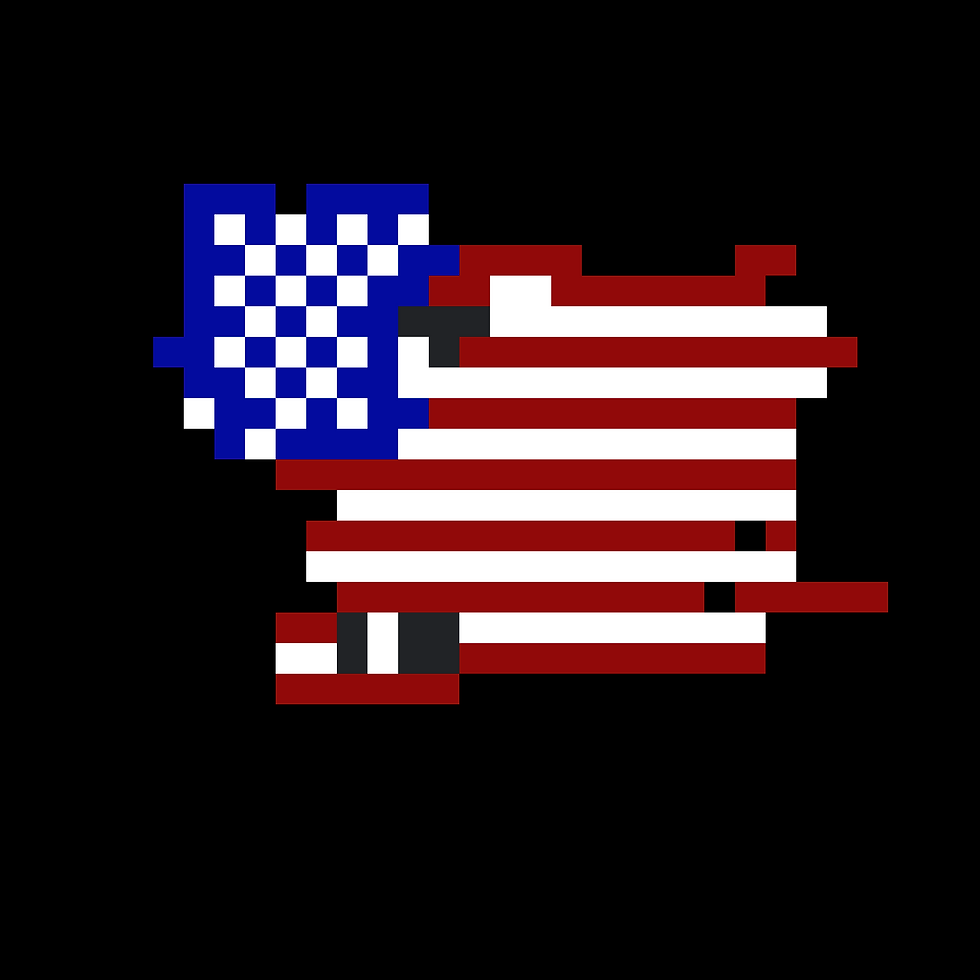 AMERICA