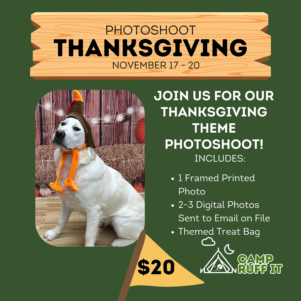 Thanksgiving Photoshoot
