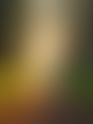 Mindfulness and Spirituality: A Harmonious Blend