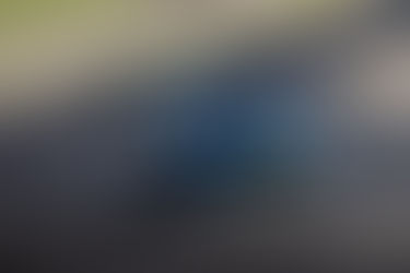 What were the Bosch engineers in the Tanuki garage doing?