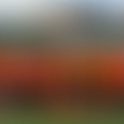 Week Four Match Summaries