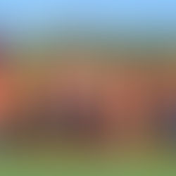 Week Five Match Summaries