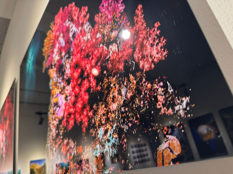 Unterwasserfestival.ch 2026