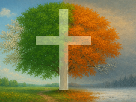 The cross of Jesus, reaching through the four seasons.