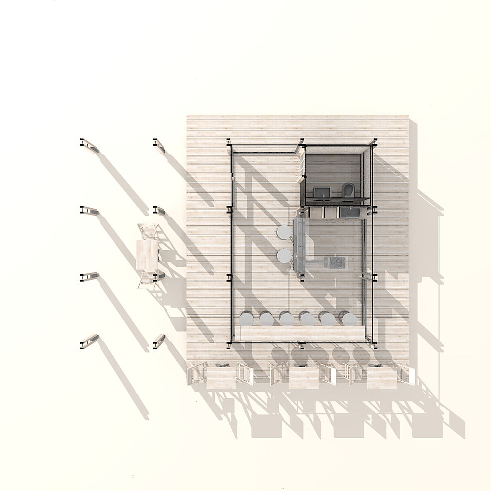 Perspective plan