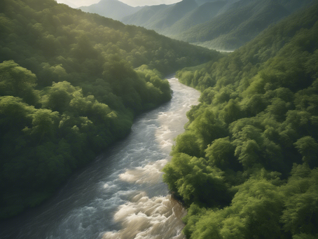 Diversifying Your Portfolio: Natural Resources with NewDill Investments