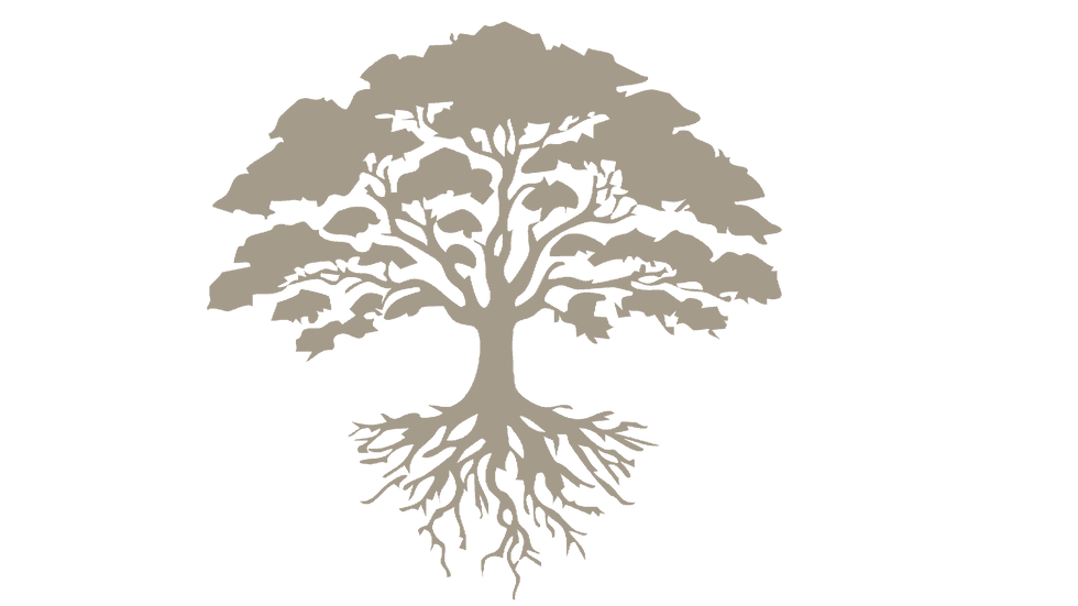 rooted.png