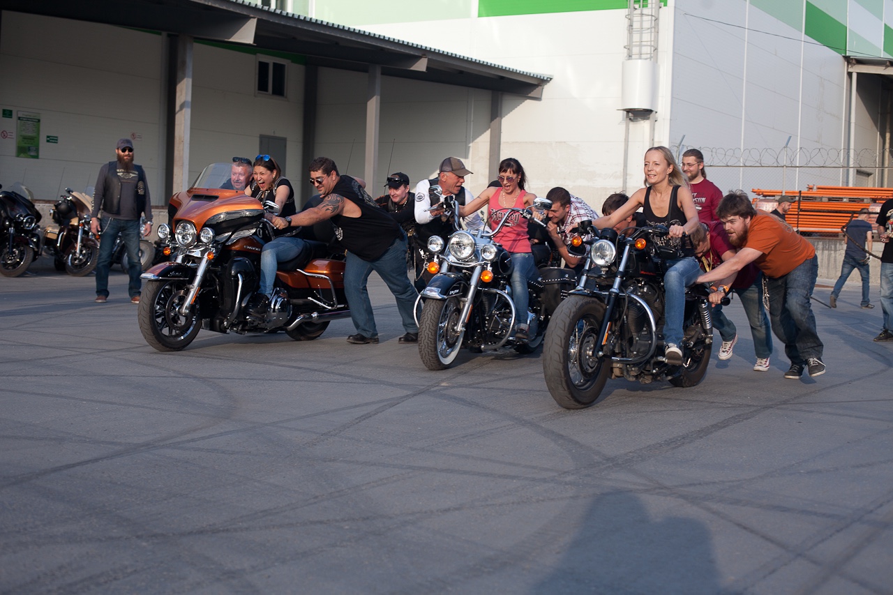 Открытие 2014 hog-ekb.