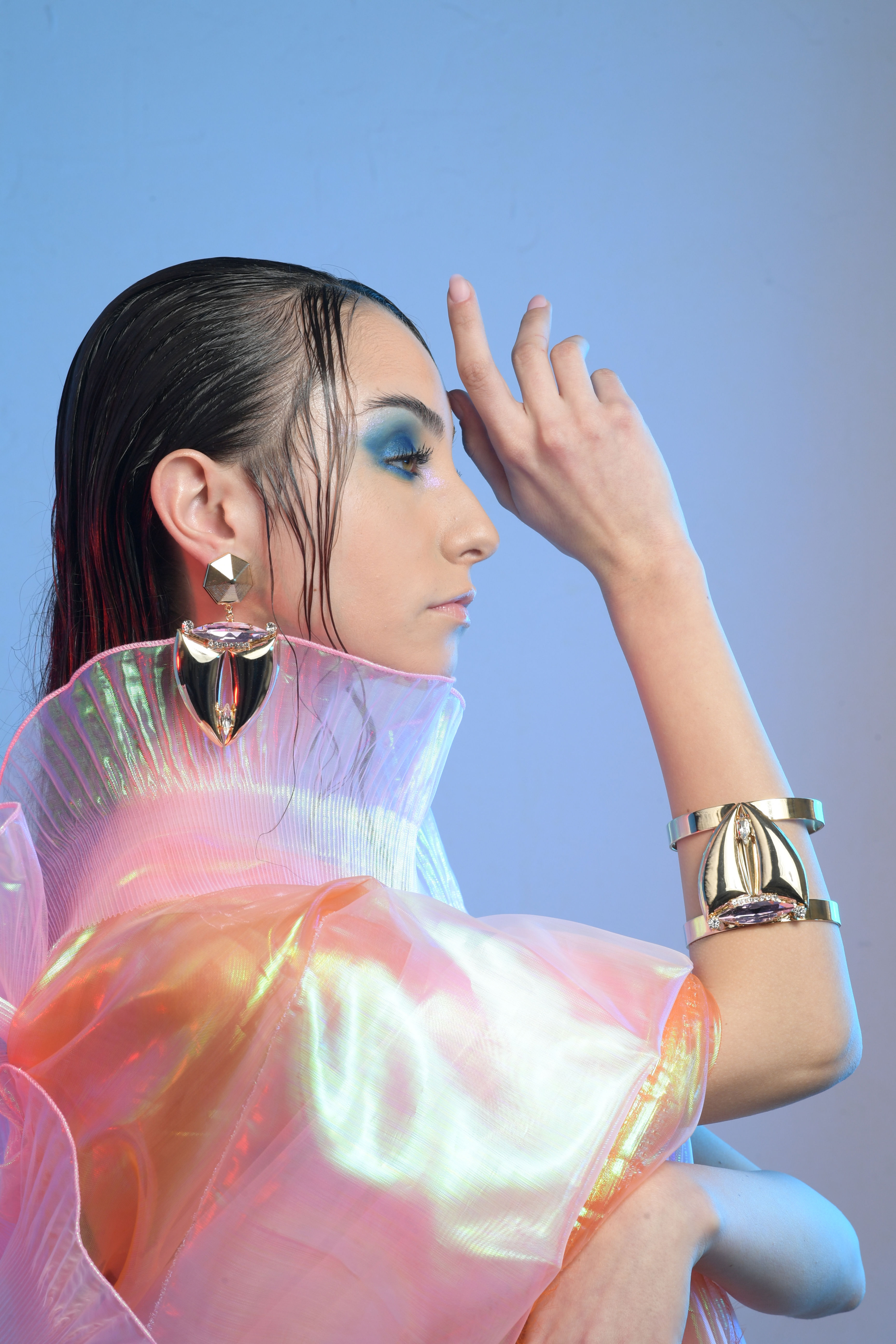 Set of Swarovski Earrings and Bangle Bracelet