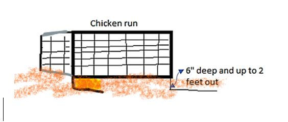 Chicken run safety